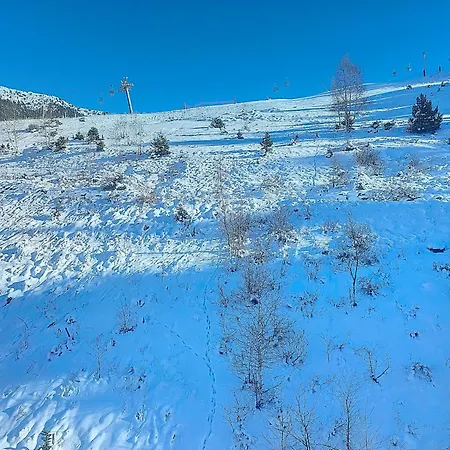 1650 - Moutain View Snow Front 3s01 아파트 쿠쉐벨