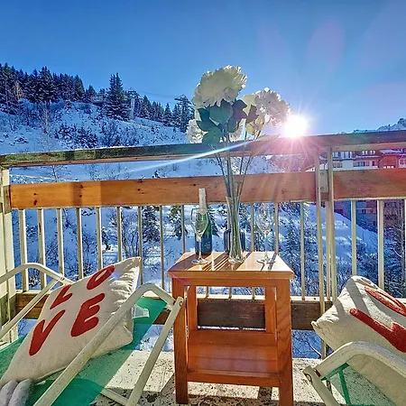 1650 - Moutain View Snow Front 3s01